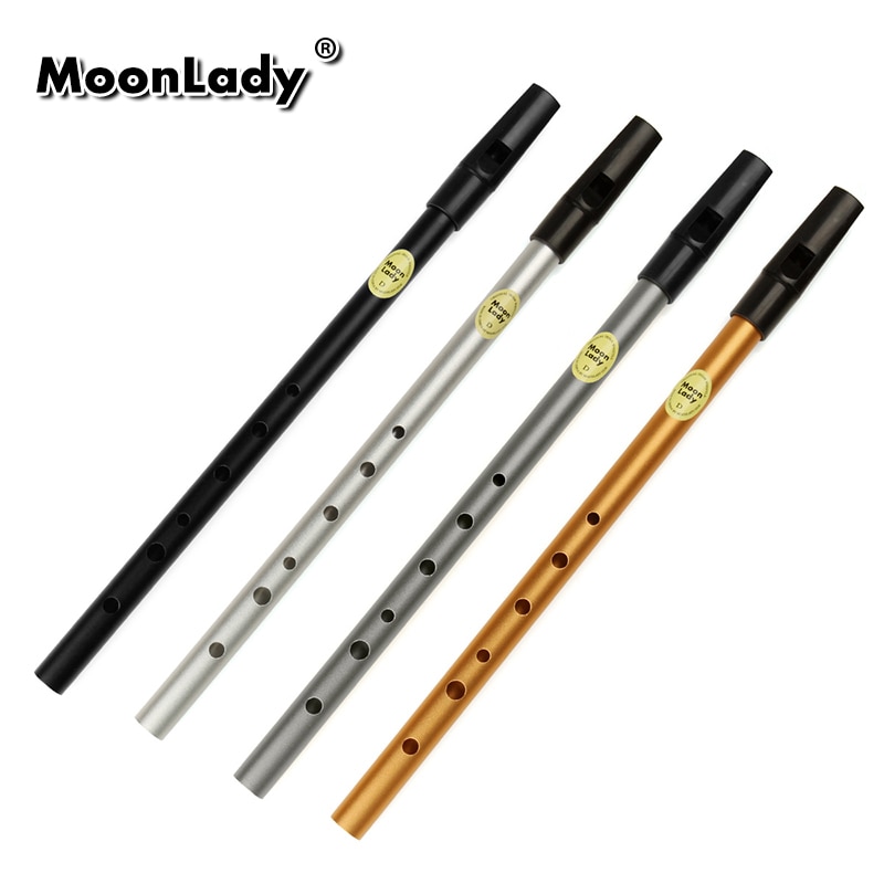 Metal Flute 6 Holes D Key Flute Irish Whistle Musical Instrument Penny Whistle Aluminum Alloy Whistle Flute with all Accessories