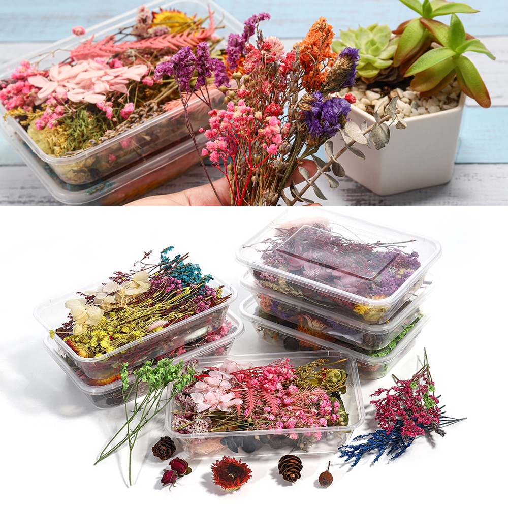 1 Box Colorful Real Dried Flower Plant Aromatherapy Candle Epoxy Resin Molds For DIY Jewelry Making Nail Art Decals Pendant