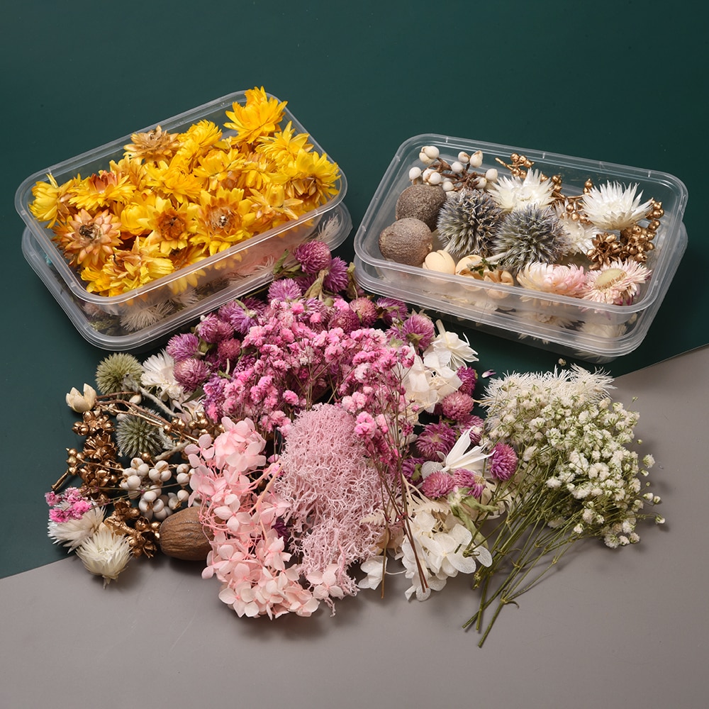 1Box Mixed Dried Flowers box Dry Flower Dry Plants for candle epoxy resin pendant necklace jewelry making craft DIY accessories