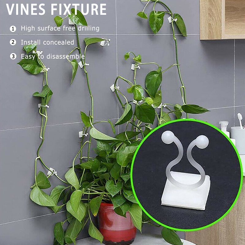 Wall Rattan Clamp Clip Invisible Sticky Hook Support Convenient Useful Household Gardening Tools Breeding Supplies Plant Shelves