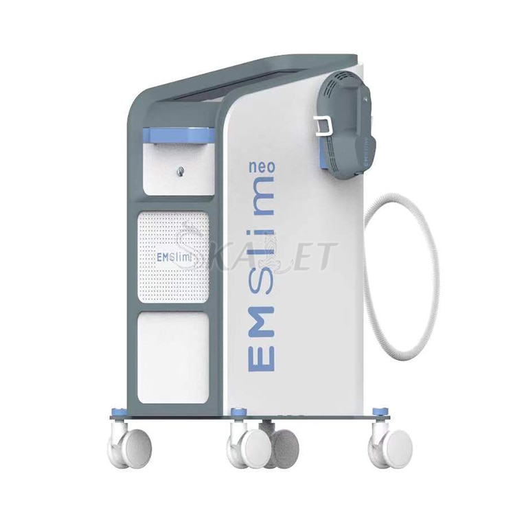 2/3/5 In 1 EMS Electromagnetic Neo Fat Removal Fat Burning Neo EMSlim Hiemt Body Sculpting Slimming Machine