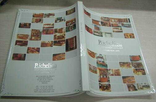 one catalogue /magazine sample printing with free shipping