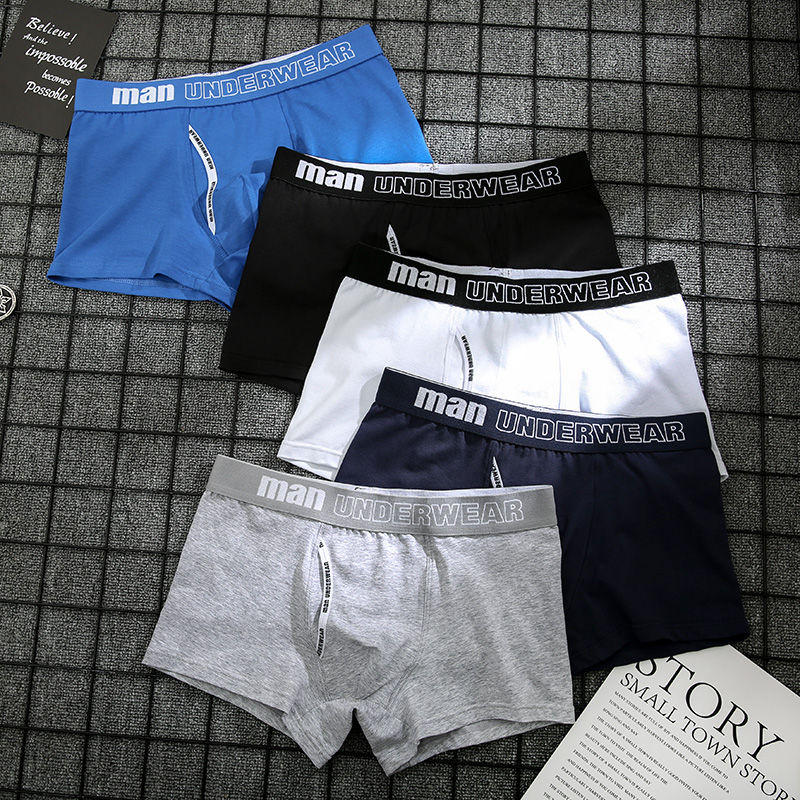 4pcs boxer mens underwear men cotton underpants male pure men panties shorts underwear boxer shorts cotton solid cuecas 365