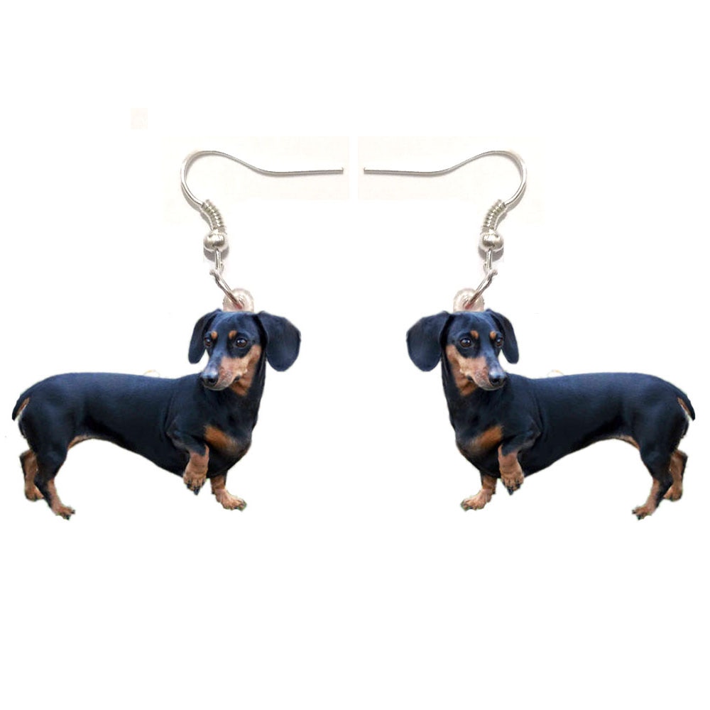 1 Pair Dachshund Acrylic Earrings Stainless Steel Jewelry Charm Dog Gift Girl Fashion Men Charm Earrings for Women Kpop Earrings