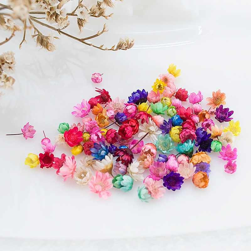 100/200pcs Dried Flowers Head Dry Daisy Plants for Epoxy Resin Pendant Necklace Jewelry Making Craft DIY Nail Art Accessories